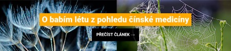 O babím létu z pohledu čínské medicíny