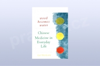 Wood Becomes Water: Chinese Medicine in...
