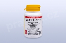 WLF1.9 - danggui yinzi - pian/tablety