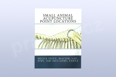 Small animal acupuncture point locations