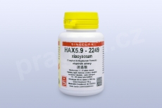 HAX5.9 - xiaoyaosan - pian/tablety