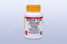 WCE9.9 - yupingfeng san - tablety