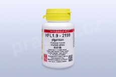 HFL1.9 - yigansan - tablety